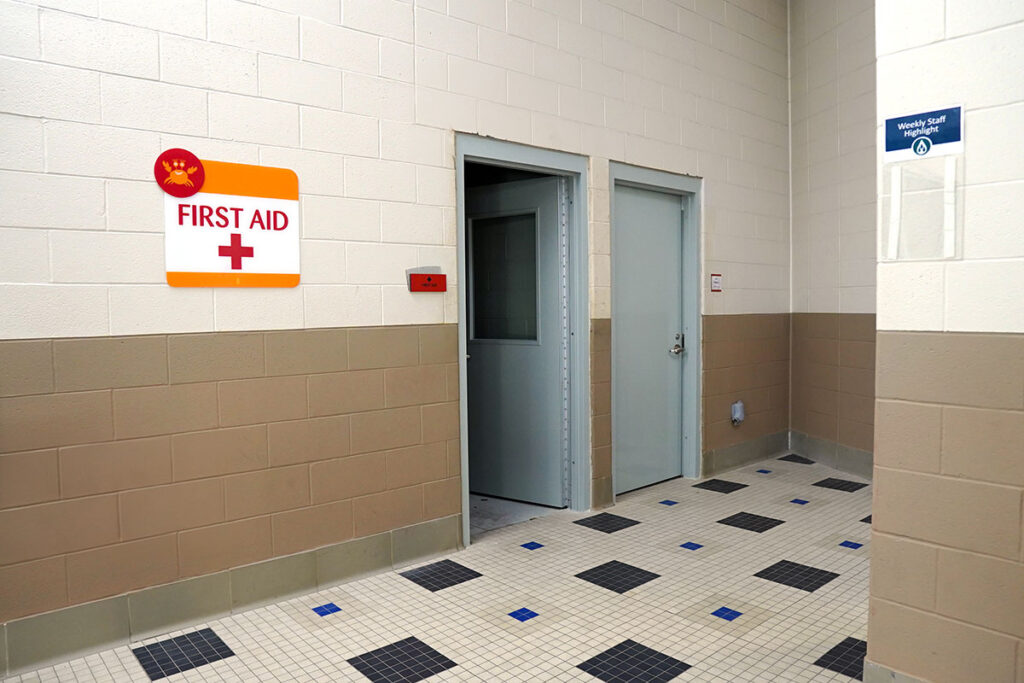 المزيد من خيارات التخصيص